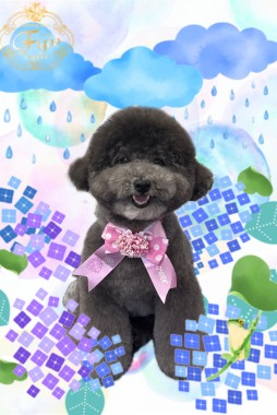レアちゃんサムネイル