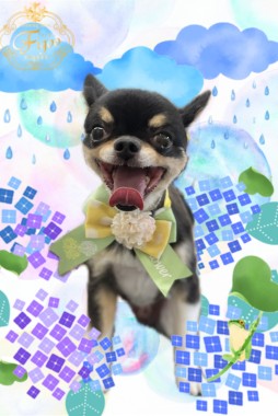 RIKUくんサムネイル