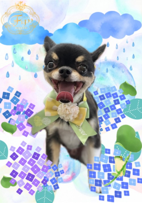 riku