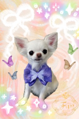 リムくんサムネイル