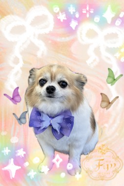 リラちゃんサムネイル