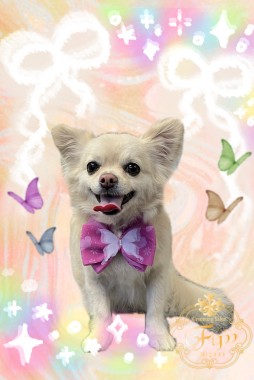 リリーちゃんサムネイル