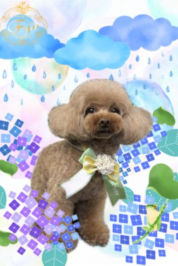 リリィちゃんサムネイル