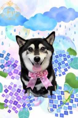 ルビーちゃんサムネイル