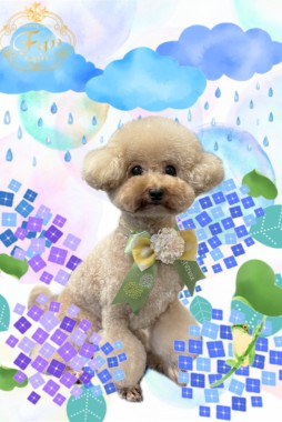 SAKURAKOちゃんサムネイル