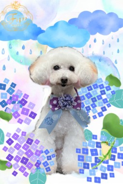 まあやちゃんサムネイル
