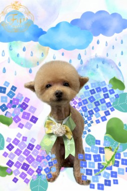 たるんちゃんサムネイル