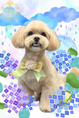 ティノくんサムネイル