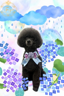 ウニくんサムネイル