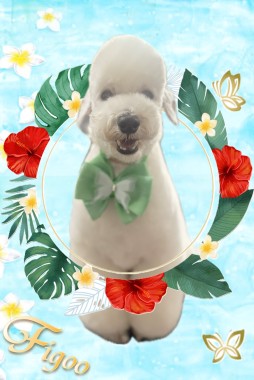 ティノくんサムネイル
