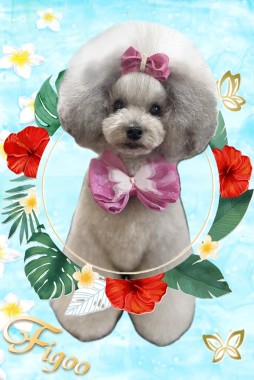 ノエルちゃんサムネイル