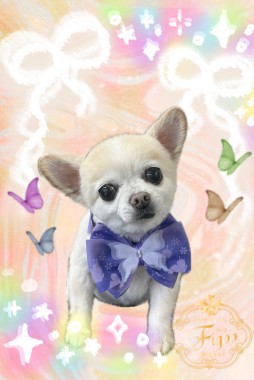 アビーちゃんサムネイル