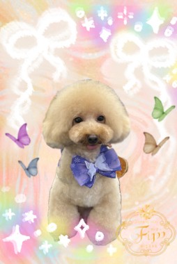 くうちゃんサムネイル