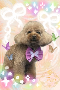 リリィちゃんサムネイル